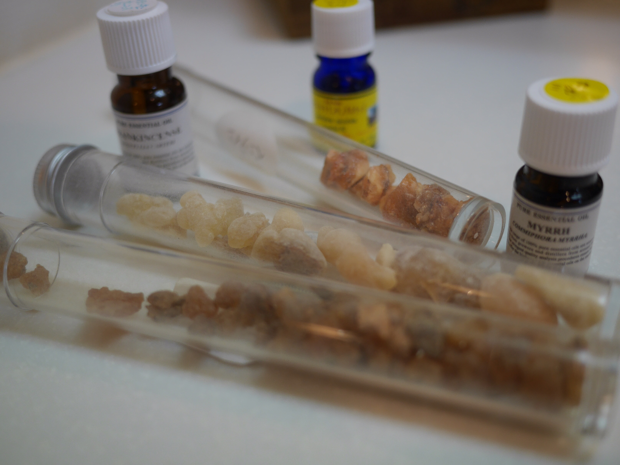 tLZX͌s𑣂A̐Vӂ𐮂܂Bэւ̉h{X[YɂȂAї\h┭ъ̉Pɖ𗧂܂B