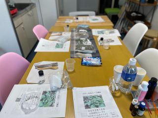 最大6名収容できアットホームな環境です。その場で質問ができるのでオンラインにはない空気感があります。私もお一人お一人と向き合って話を進めたいのでリアルがよし。