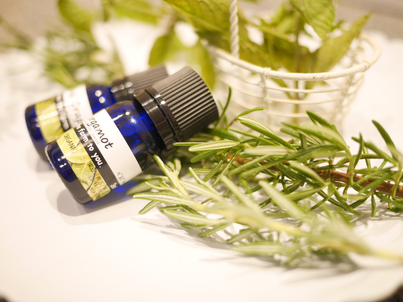 xKbgATCvXAXC[g}[WAv`OAx`o[g܂B