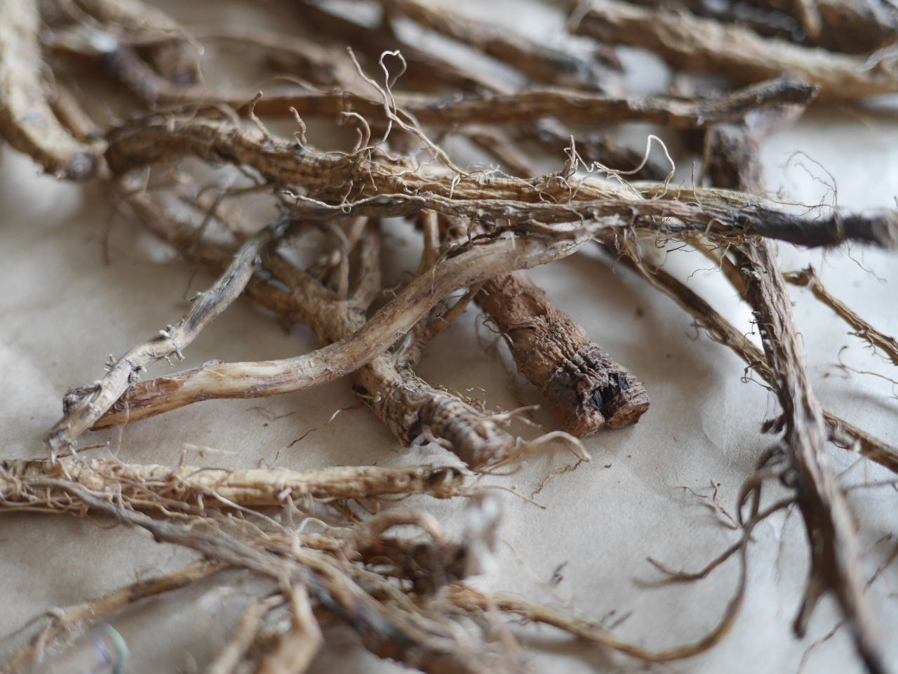 ダンディライライオンは肝臓の働きを助け、体内にたまったアレルゲンなどの排出を促します。 デトックス系のハーブを加えることで体質改善につながります。