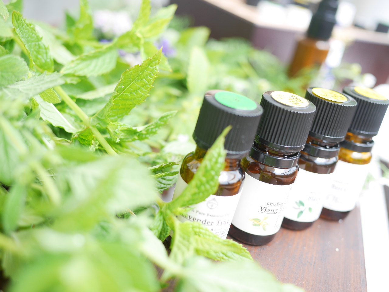 NG߁AoCIYɂčD݂̍͂ǂǂωĂ܂BDȍ͂ƂĎĂƂł傤BɂȂ܂B