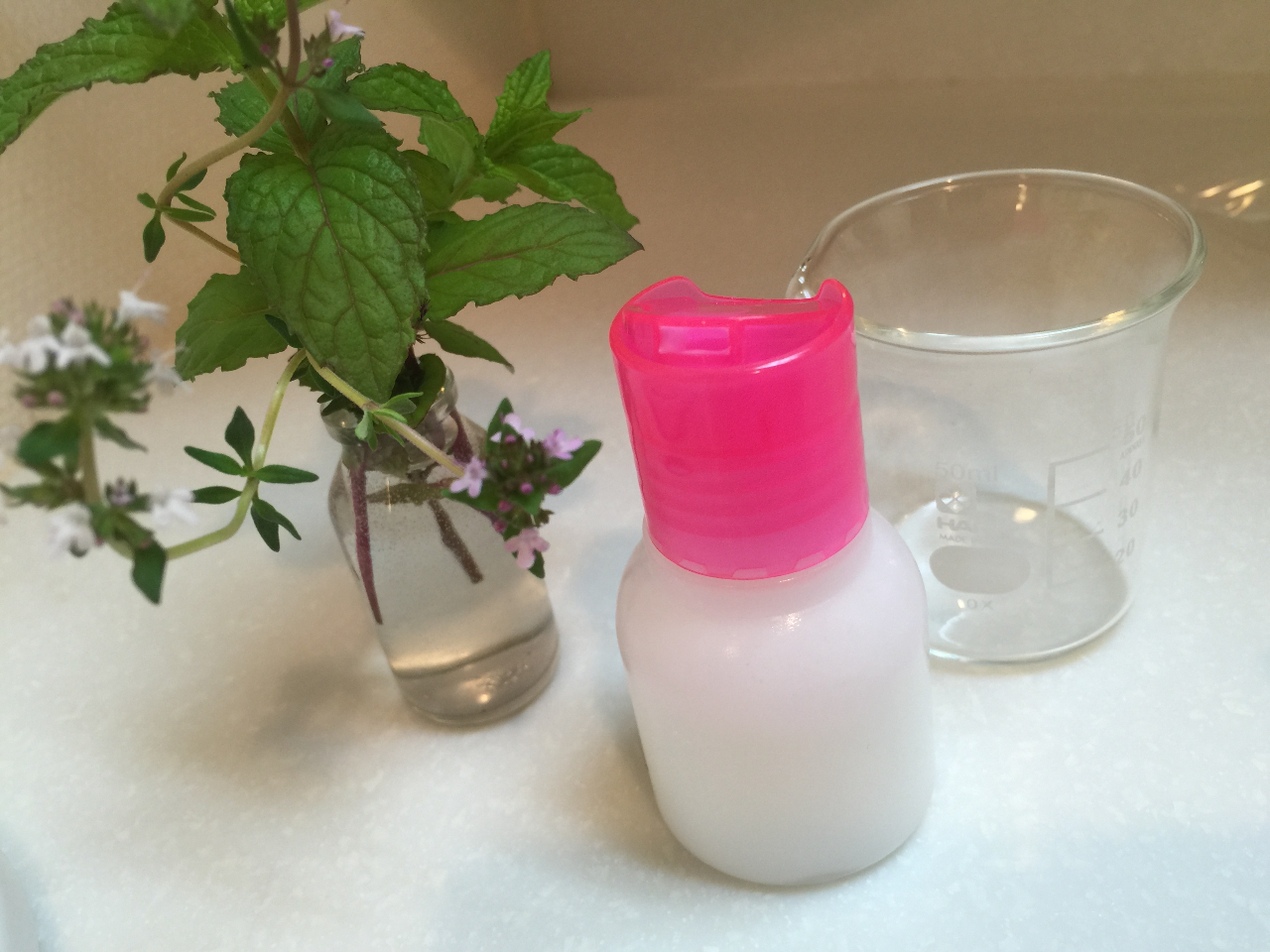 T_EbhAlAIWXC[g̐gtłB̑gݍ킹͔̍QłI