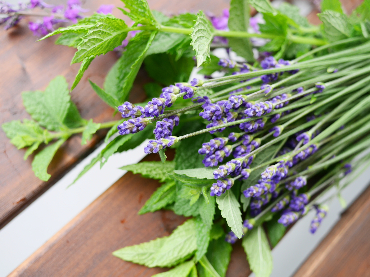 �n�[�u�ɂ͎��O������̃_���[�W�̏C���A���̉񕜂��T�|�[�g���Ă��ꂽ��A�������������ĐS������Ă��ꂽ��Ɨl�X�ȍ�p������܂��B