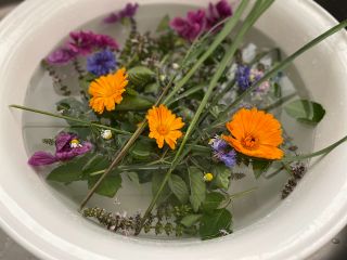 ハーバル入浴剤を作ります。セイタカアワダチソウ、ヨモギ、ウスベニ葵を入れた入浴剤です。お肌もすべすべになります。