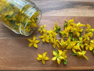 畑で撮れたセントジョンズワートの花を浸出油にします。この時期の手仕事です。出来上がった浸出油は痛み軽減、傷の手当てなどに使うことができます。