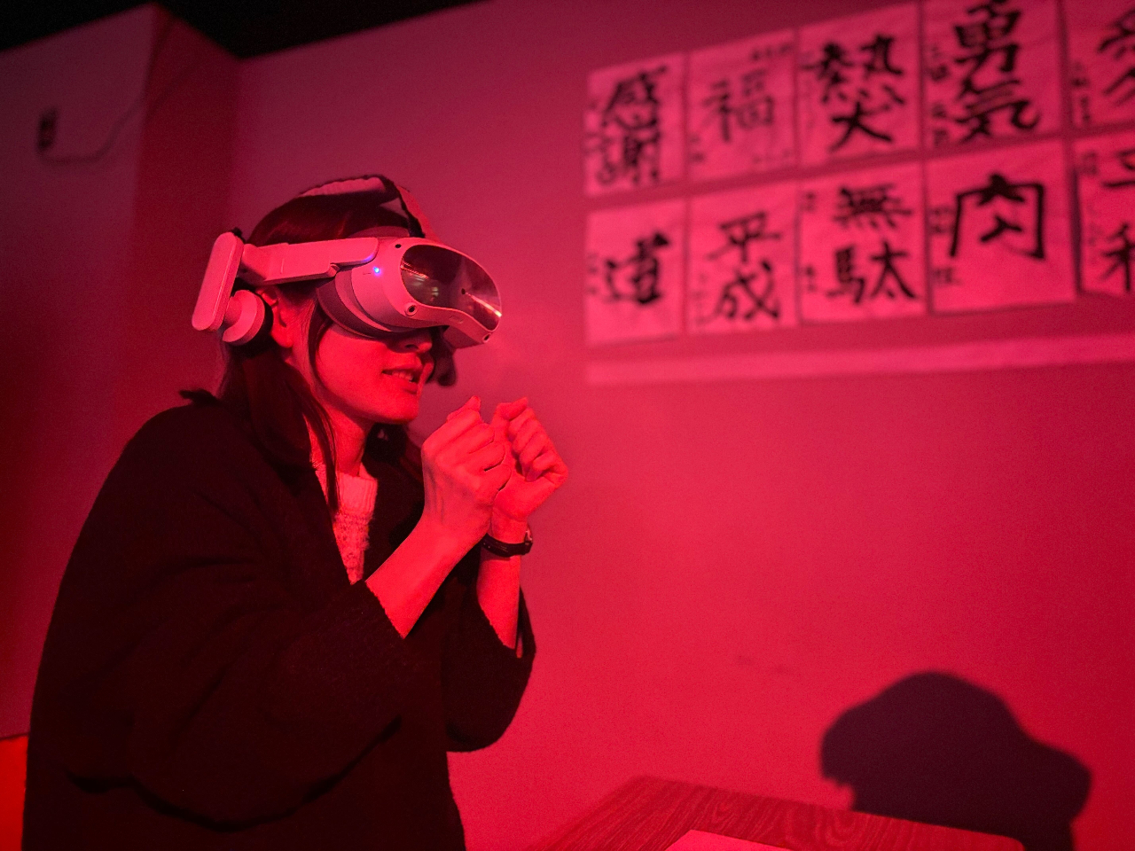 �wVR HORROR�x��̓z���[VR�Ő⋩�̌�