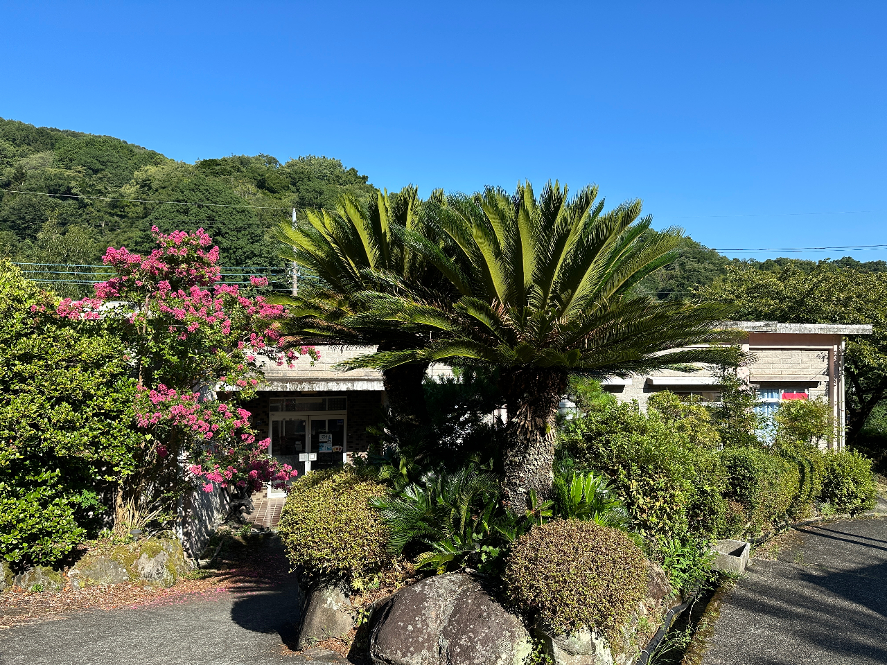 希望園の山から天然温泉が湧いています。伊豆で珍しいアルカリ性単純温泉でなんとpH9.2!源泉かけ流し100% 豊富な湯量で20分ほどでお湯が入れ替わります。