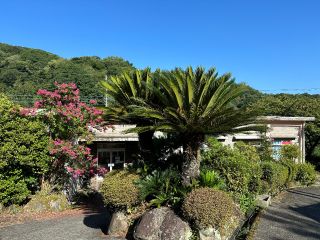 希望園の山から天然温泉が湧いています。伊豆で珍しいアルカリ性単純温泉でなんとpH9.2!源泉かけ流し100% 豊富な湯量で20分ほどでお湯が入れ替わります。