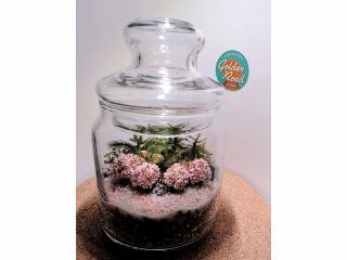 桜はオプションでお使いいただけます!