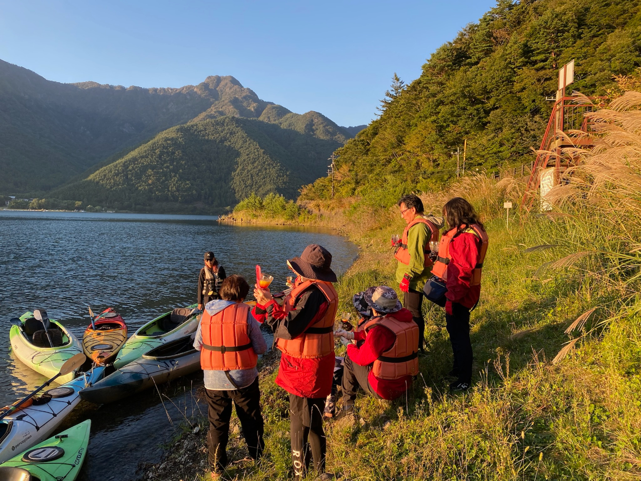 夕陽に照らされて黄金色に染まる