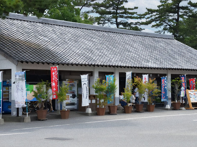 島原城入館チケット≪2024年で築城400年≫/島原城 - じゃらん