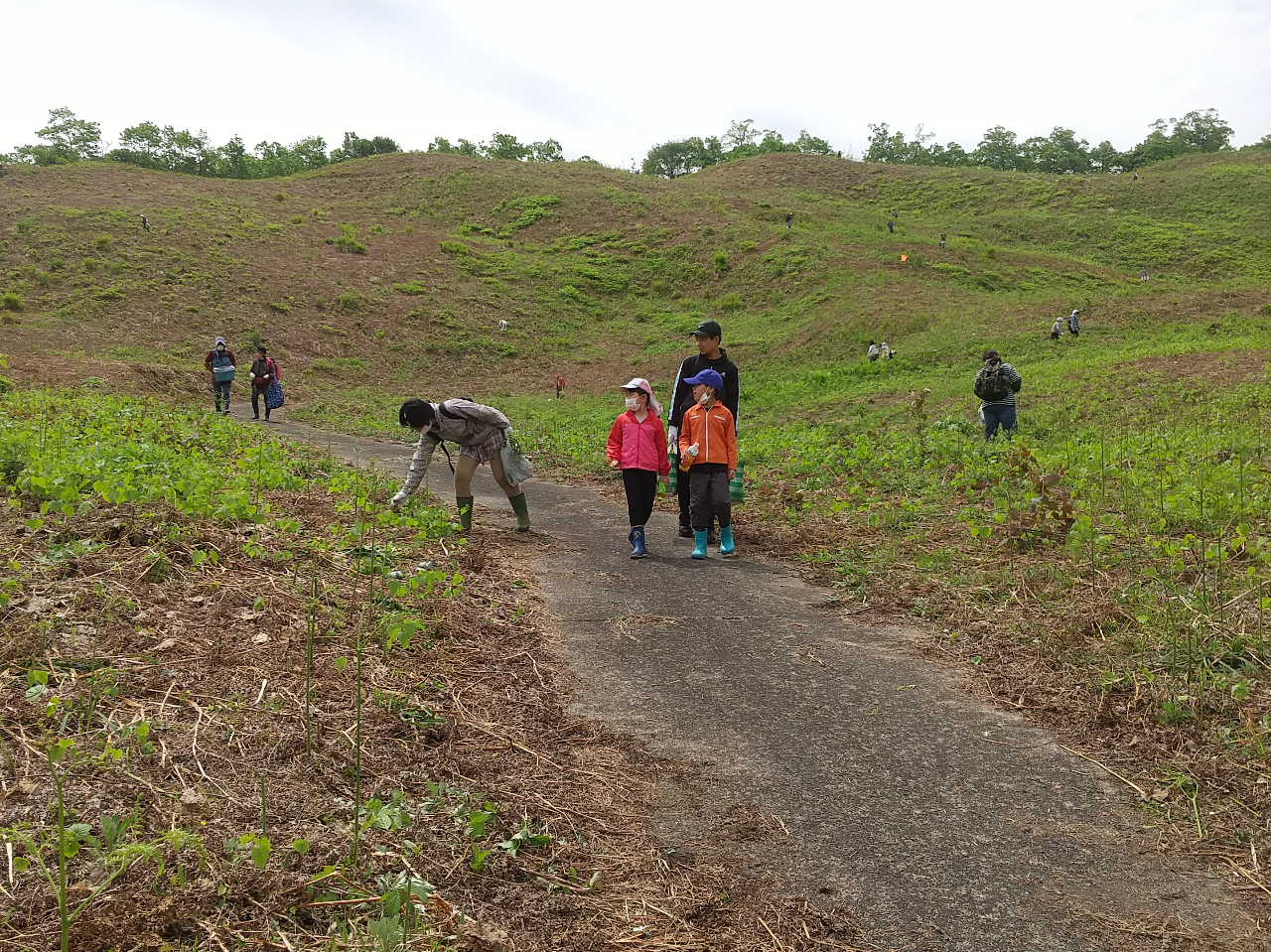 新潟県・阿賀町】＼☆山菜の採り放題☆／わらび採りができます！設備が