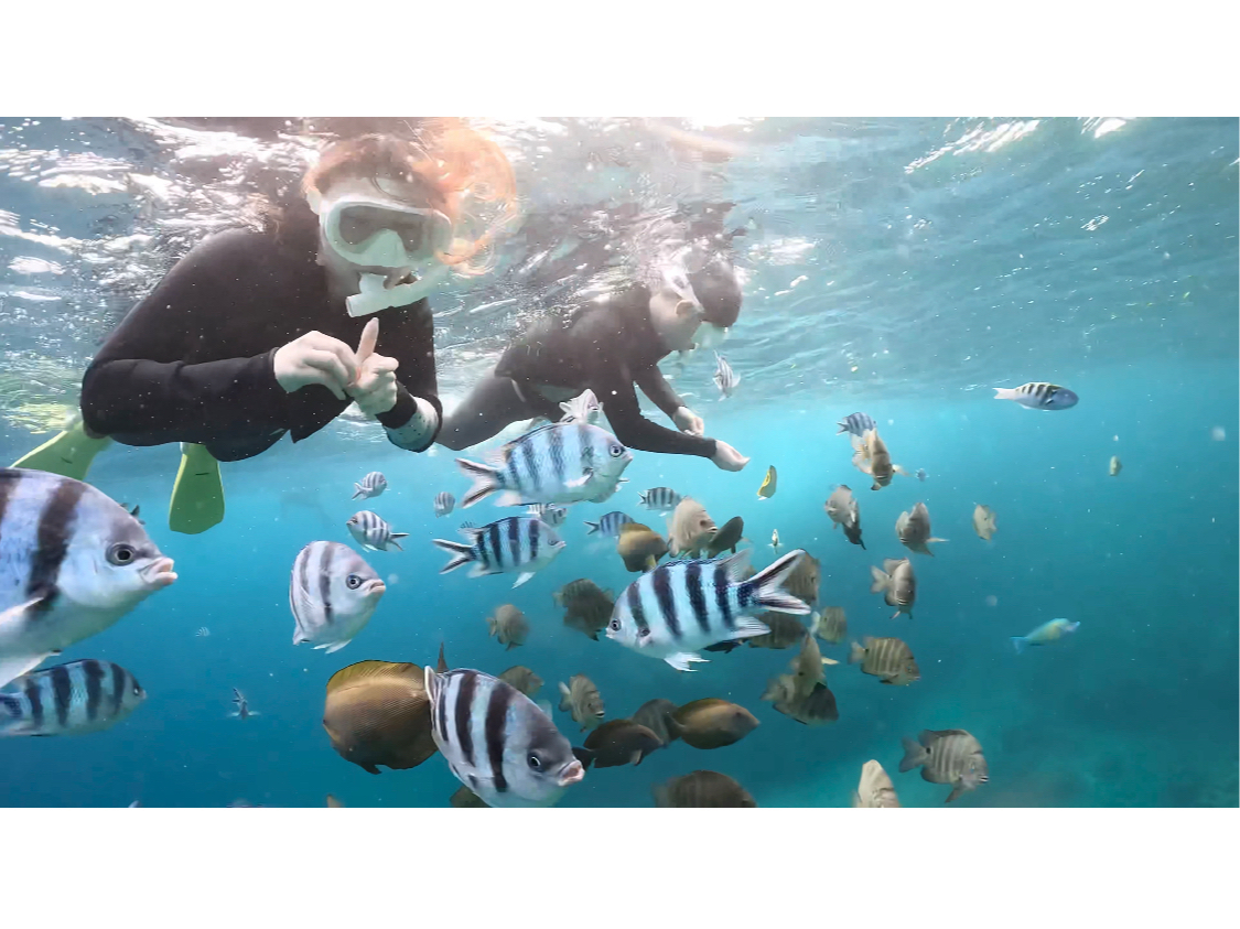 yGŤz^hĉ͐lAԋ߂Ō鋛̓`[킢I̓AYłAǎ̃CpNgȂ苭߁I