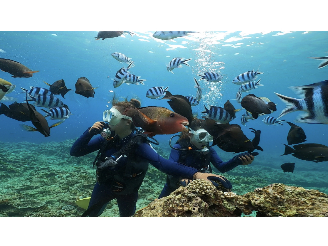 yʐ^E斳IzRB܂(^^)cA[Ɍgтɂ]܂BRvoc܂傤I