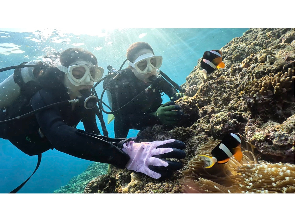 yGT薳IzFXȂԋ߂Ō̂ŁAȐɉɍs܂傤~_(^^)^