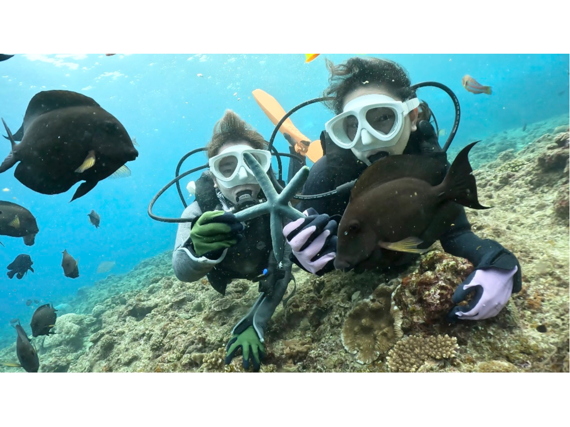 y_CrOށzzCg̐}XNłēĂ̂ŁA̒łf܂~I