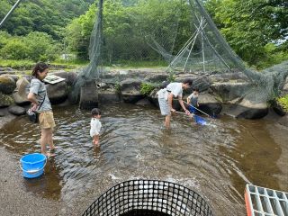ニジマスをつかんだり、網で取ったり自由に、楽しめます。