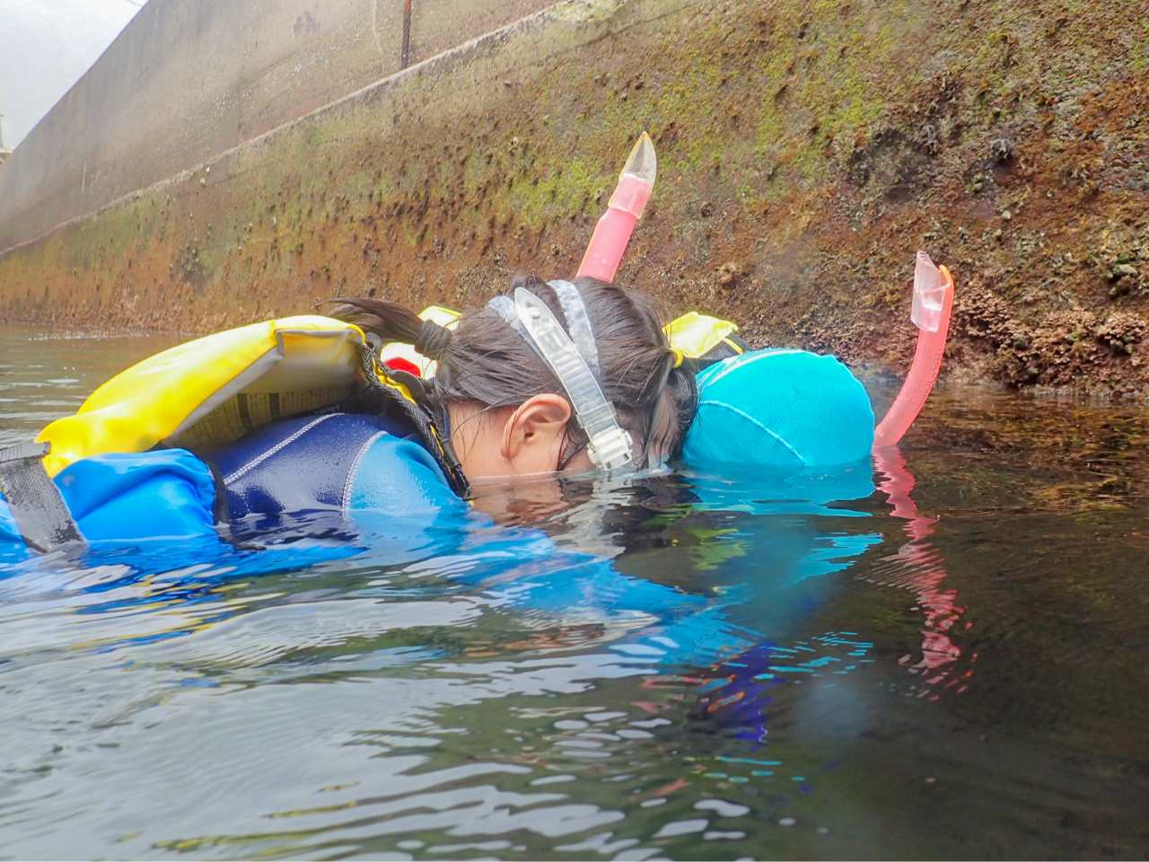 【千葉勝浦・シュノーケリング】泳げなくても安心・安全!1組限定貸切プラン♪