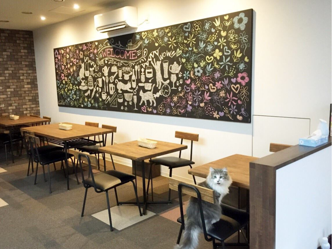 【猫カフェ:平日プラン】\長岡駅から徒歩2分!/人懐っこい猫ちゃんたちとフリータ...