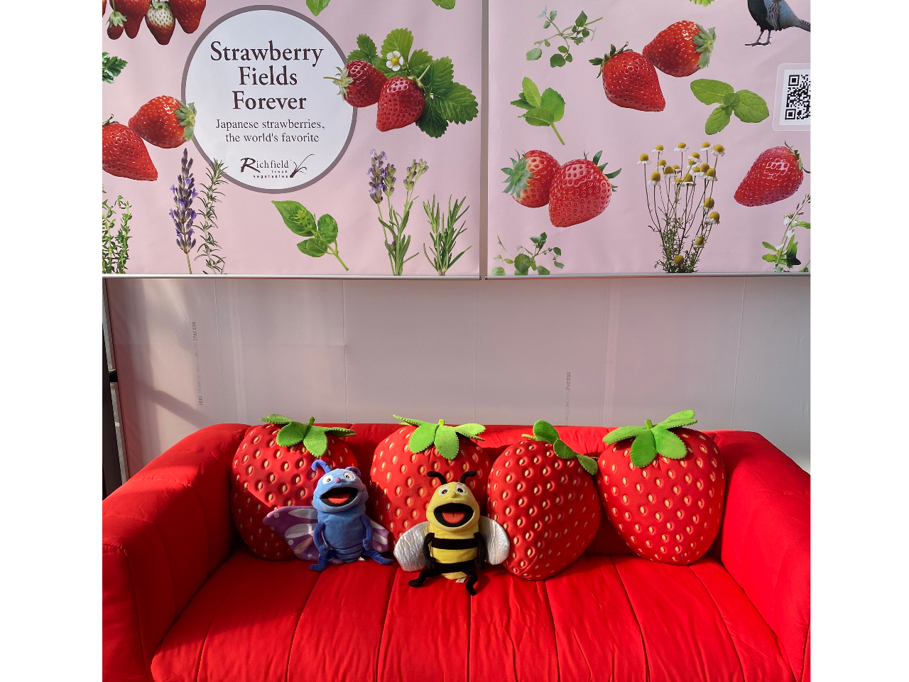 �ҍ������Y��ŁA�E�F���J���h�����N�����p�ӂ��Ă��܂�