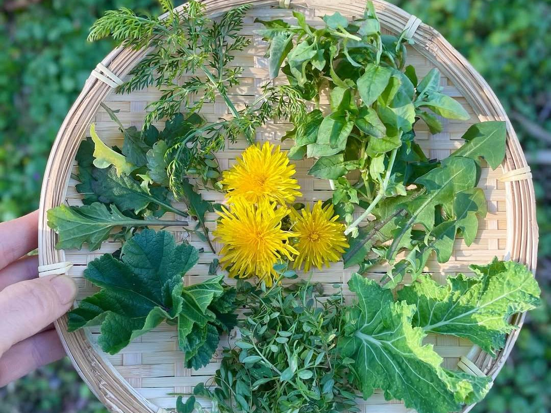 ���R�_�����Ă���u�J�����i�t�@�[���v���񂪁A�����̓~�̖쑐�����U�����Ȃ���U�􂵁A�쑐�ɂ��Ă��b���Ă��������܂���