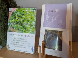 十数種類から、自分で好きなハーブを選びオリジナルのハーブティーが作れます!オリジナルのハーブティーをお持ち帰りできます♪