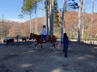 自然あふれる施設で乗馬体験!