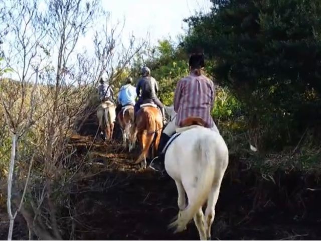 ☆山道☆トレッキング☆