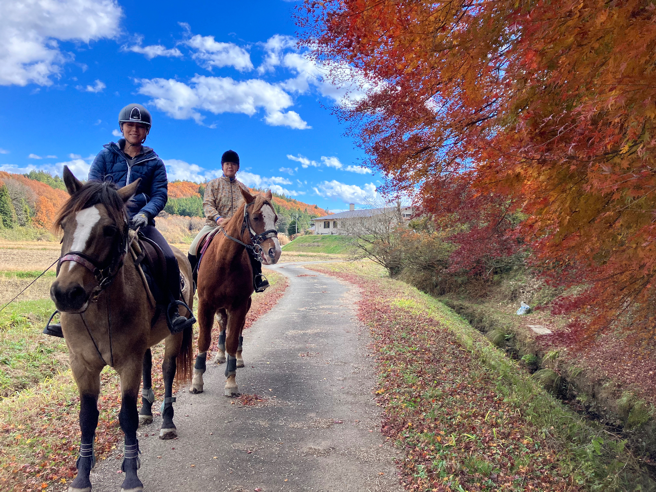 矢板市玉田町の農道&山道&馬場で欲張り乗馬☆離れにある、ふれあいポニー公園も立ち寄り可愛いポニー達も見る事もできます。