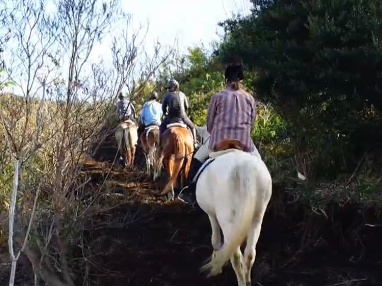 ☆山道☆トレッキング☆