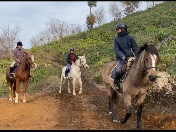 ☆山道☆トレッキング☆
