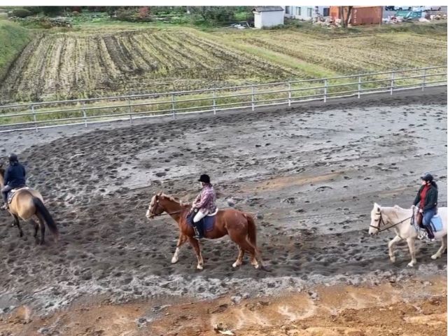 ☆馬場でウォーミングアップ☆速歩ok,
