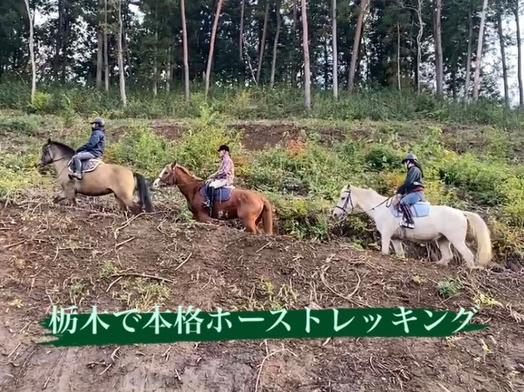 中々味あえない坂道を馬に乗って登ります★
