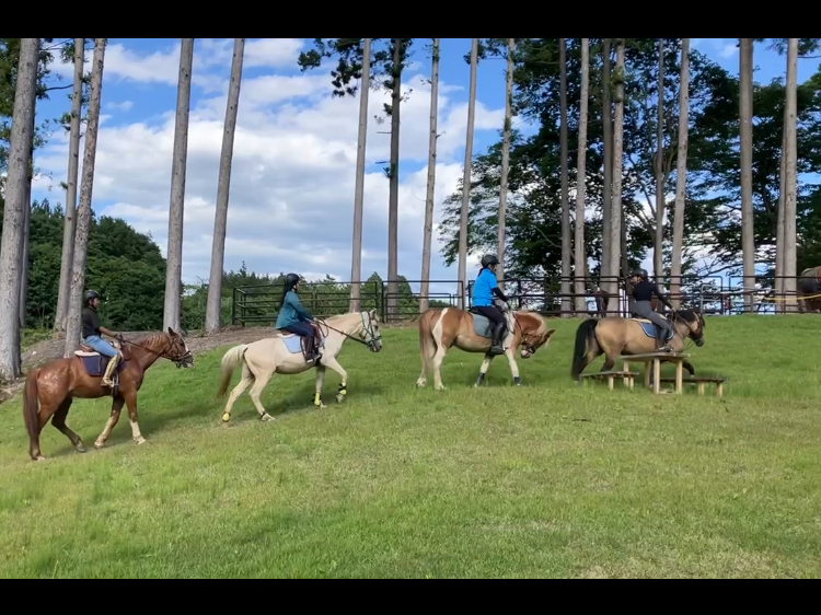 中々味あえない坂道を馬に乗って登ります★