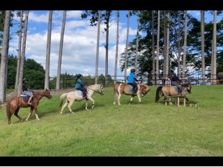 中々味あえない坂道を馬に乗って登ります★