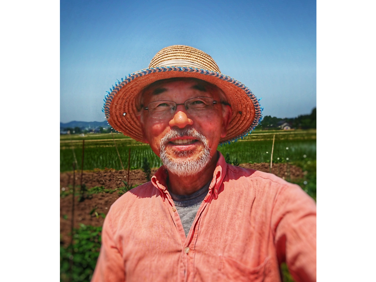 ���郏���r���̎ʐ^2