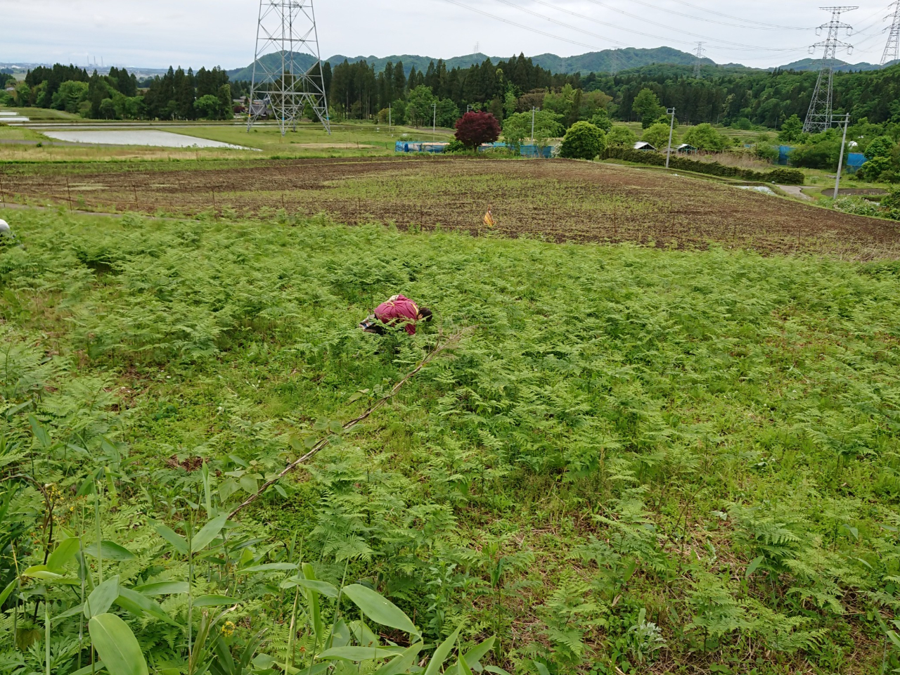 ���郏���r���̎ʐ^3