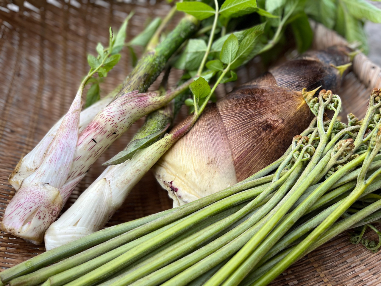 ���郏���r���̎ʐ^4