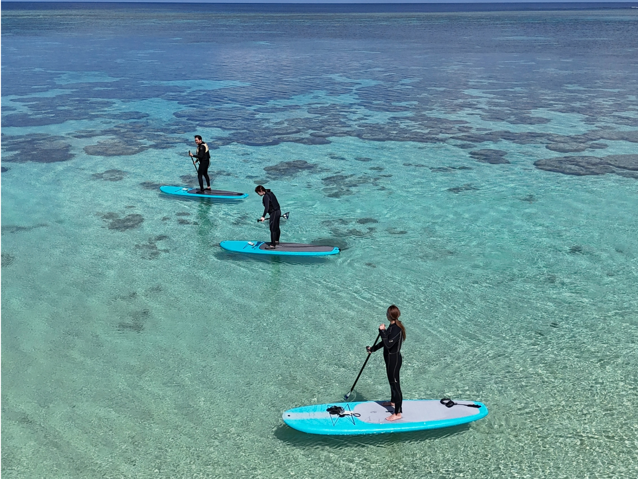 1�g����I������C�ɂ����v��������y��������