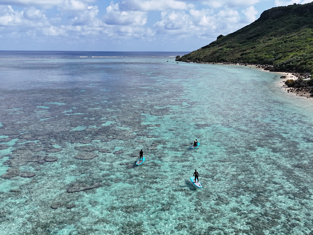 �c�A�[���ɎB�e�����ʐ^�͖����Ńv���[���g�I