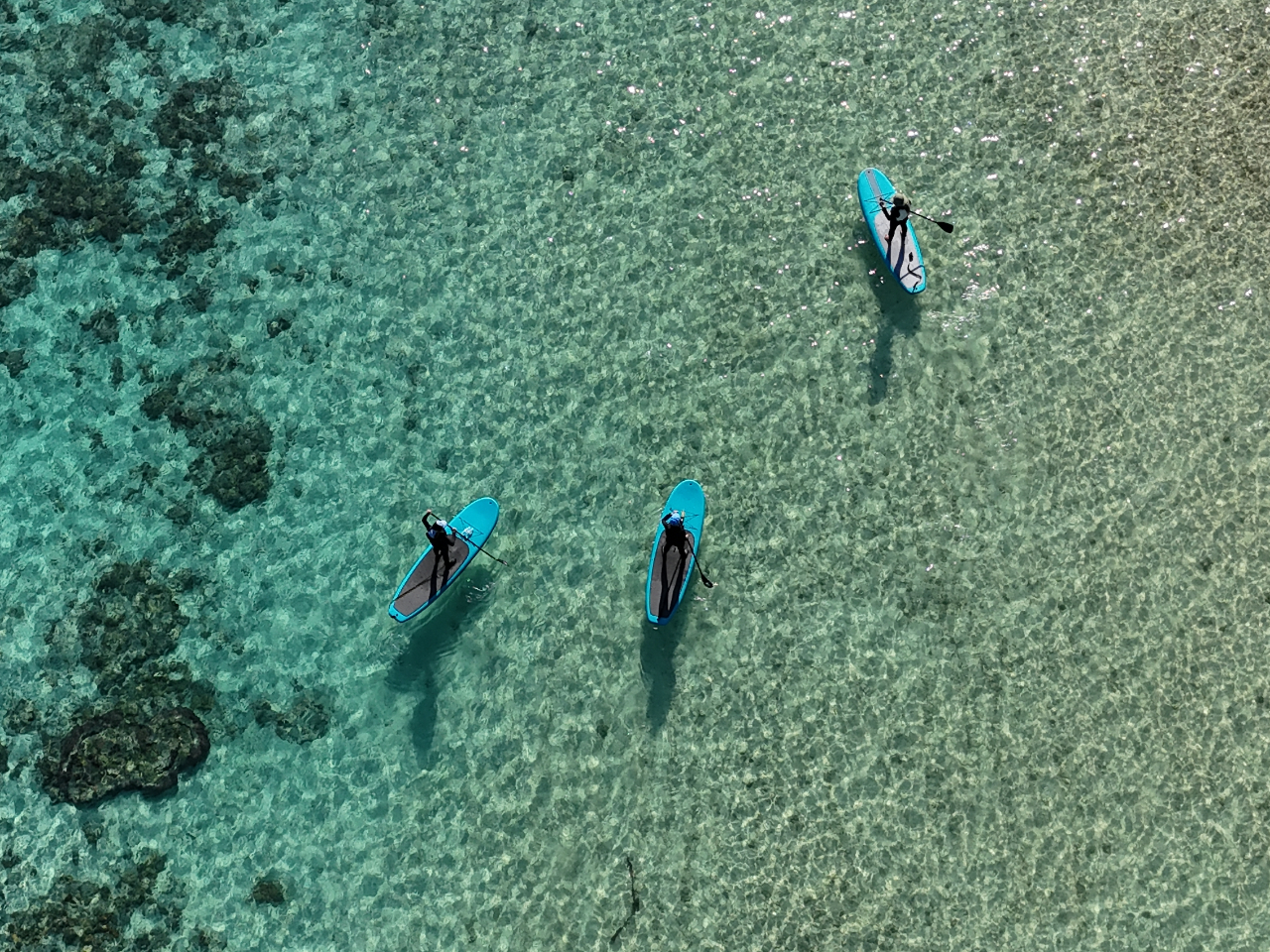 ����͏��X�����x�����Q�I