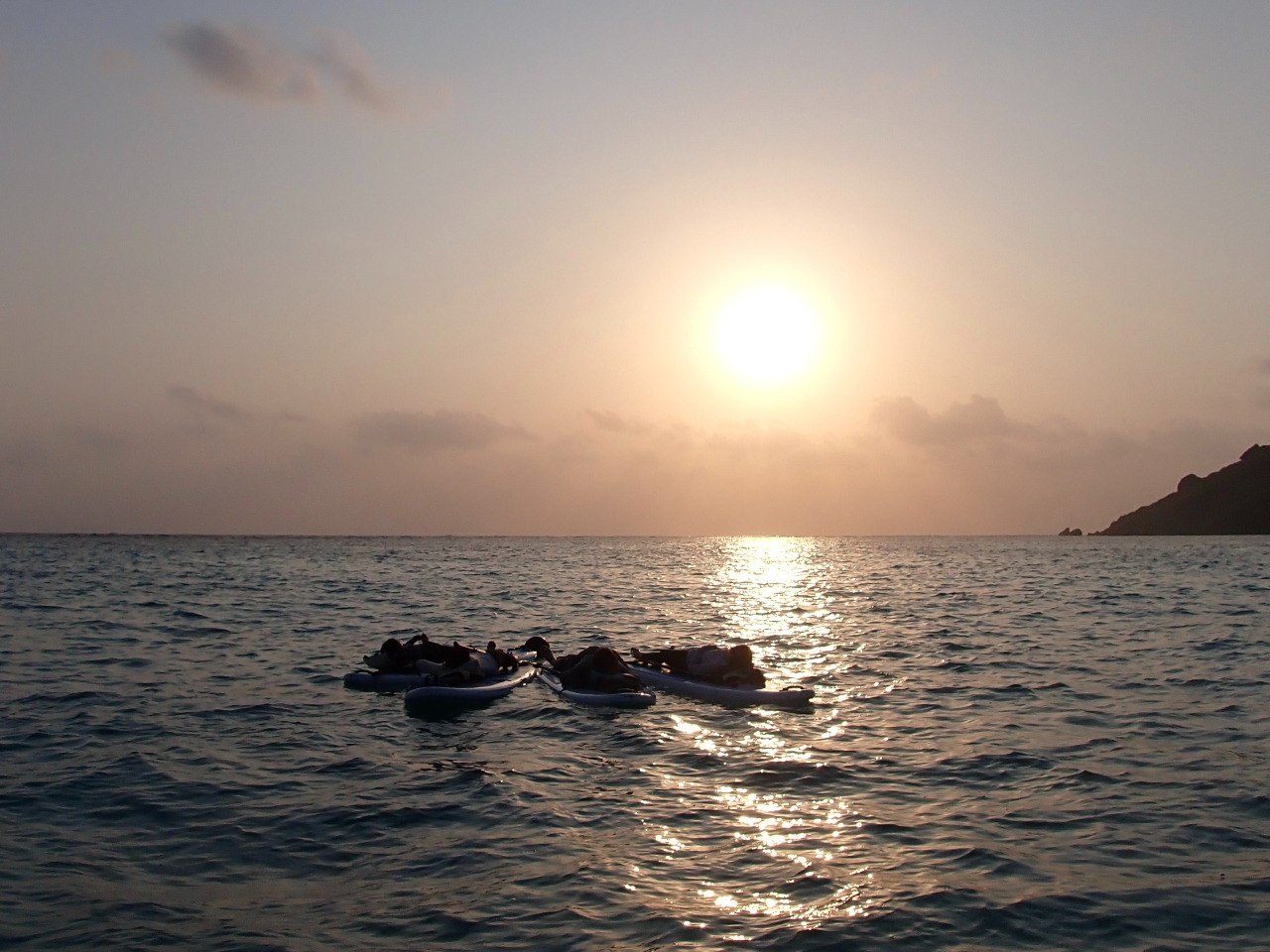 SUP̏ł肭낮Ƃł܂