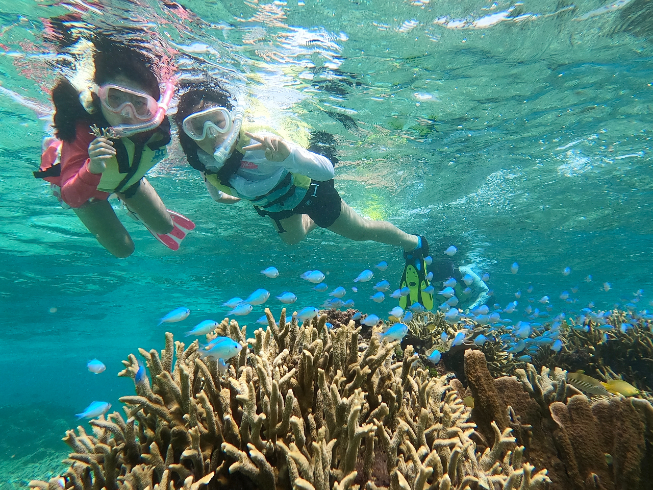 Vm[PO߂Ă̕łKChJɃN`[v܂̂ŁASĂy݂܂I