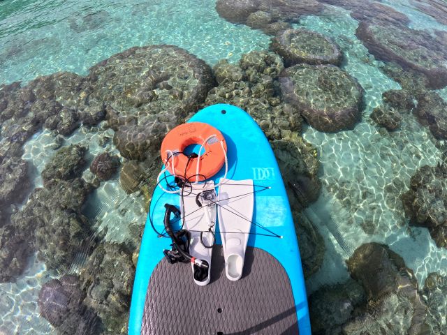 SUPの上からでも珊瑚礁や熱帯魚が見れます♪