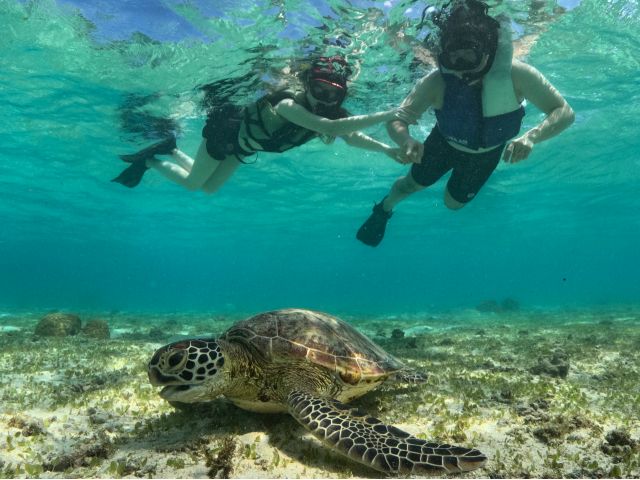 普段味わえないような非日常体験ができます♪