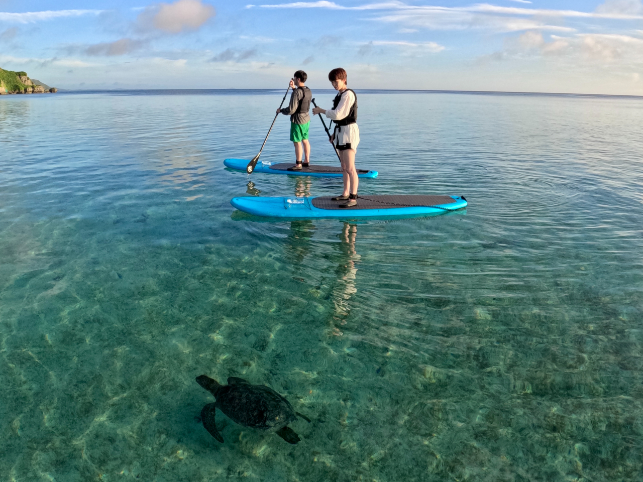 SUPの上からウミガメを発見できることも♪