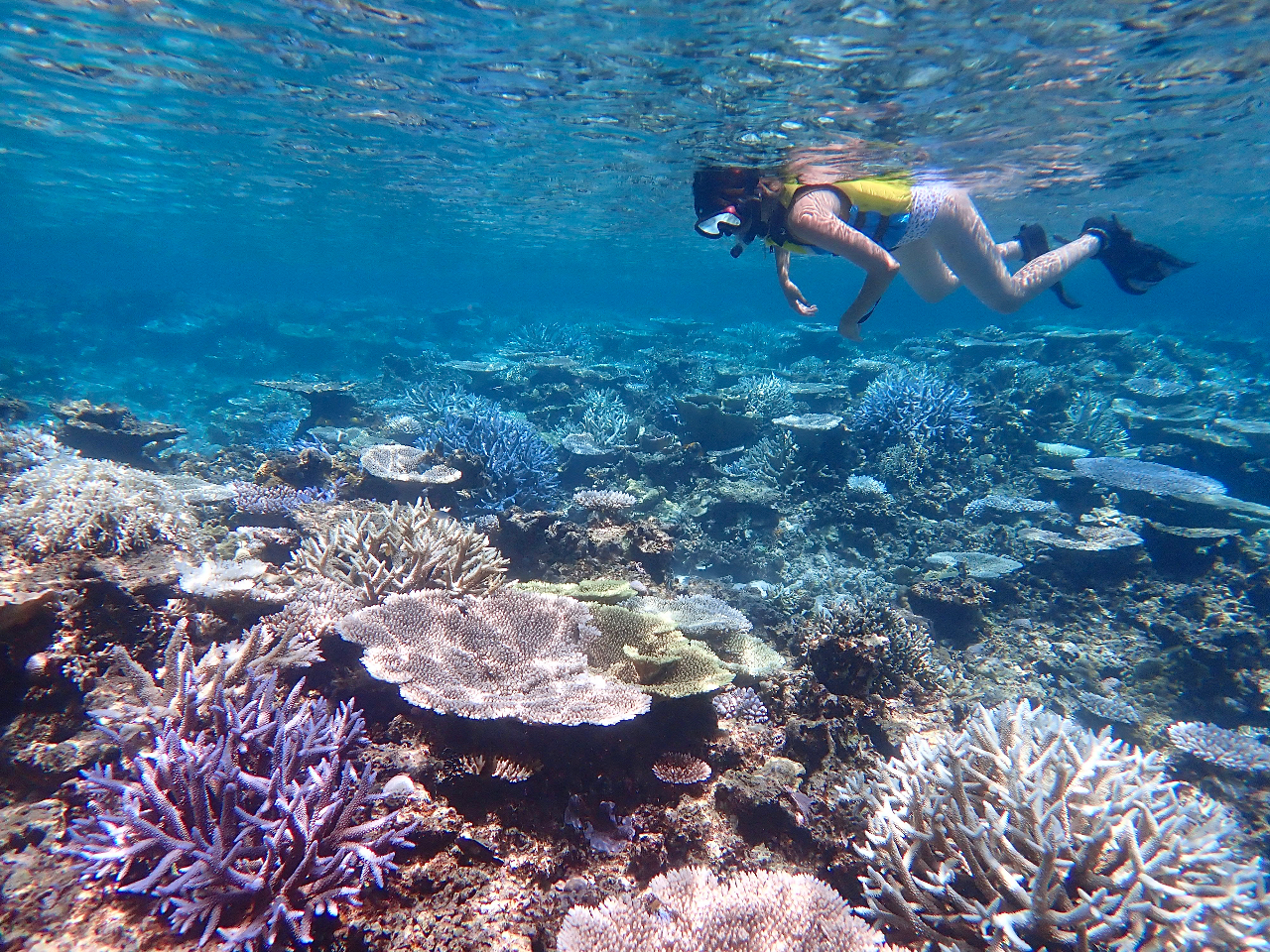 ツアー中に撮影した写真や動画は無料でお渡ししています♪