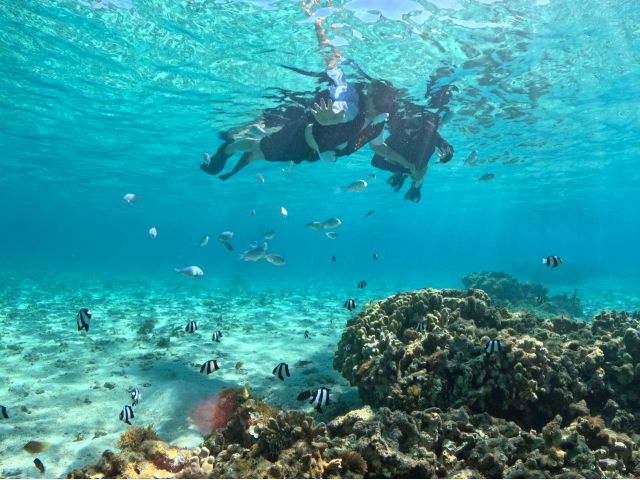 海の中はまさに天然の水族館♪