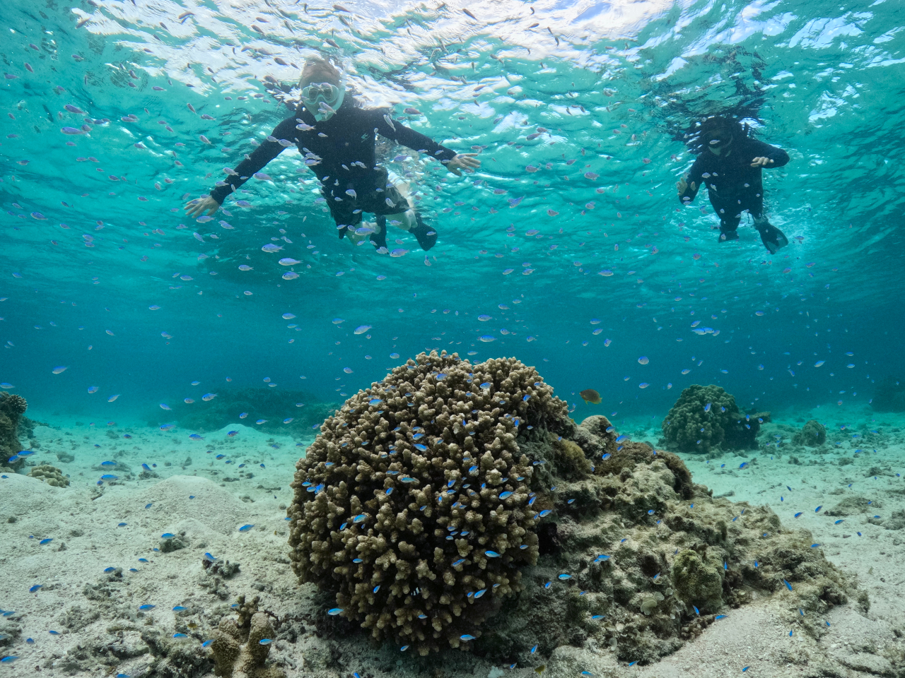 Vm[PO߂Ă̕łKChJɃN`[v܂̂ŁASĂy݂܂I