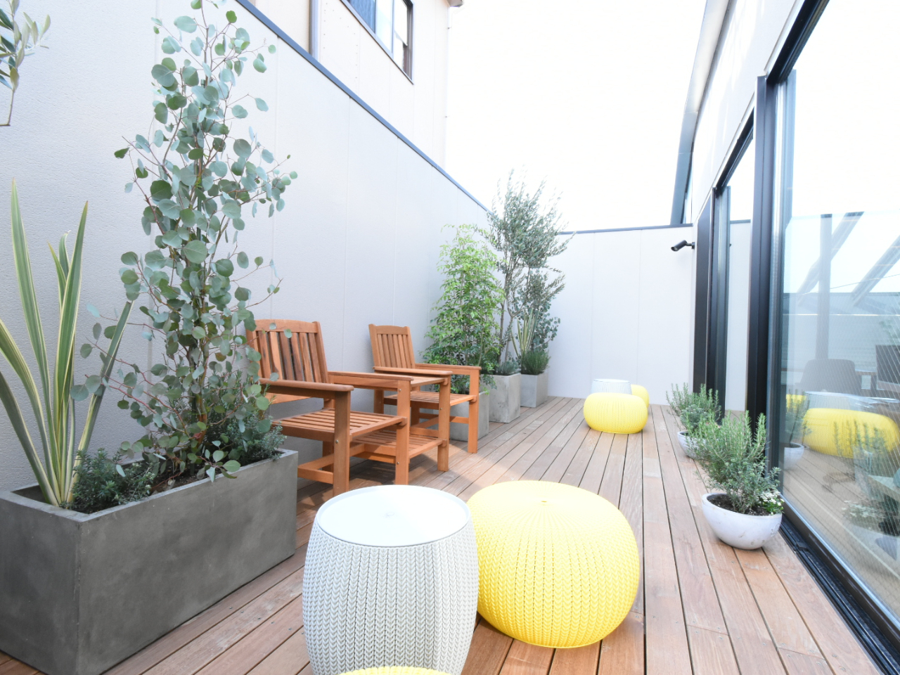 �E�b�h�f�b�L